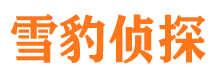 南长找人公司